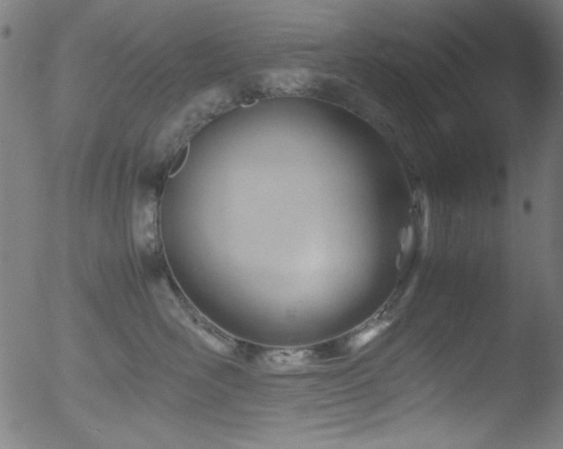 X0000053090526200507111201