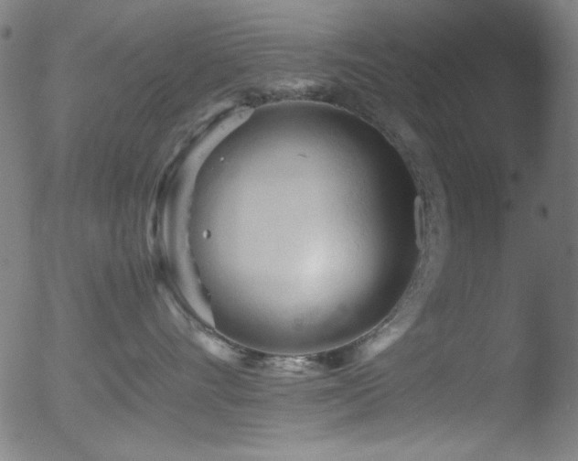 X0000053090528200507111200