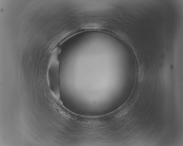 X0000053090529200507111200