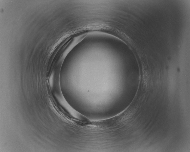 X0000053090530200507111200