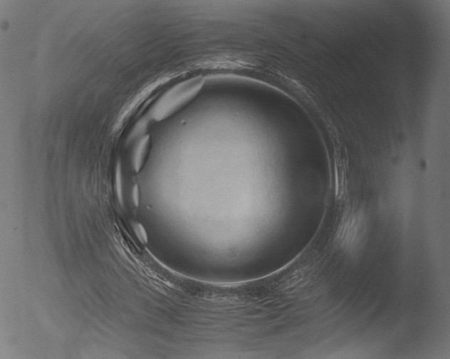 X0000053090531200507111200