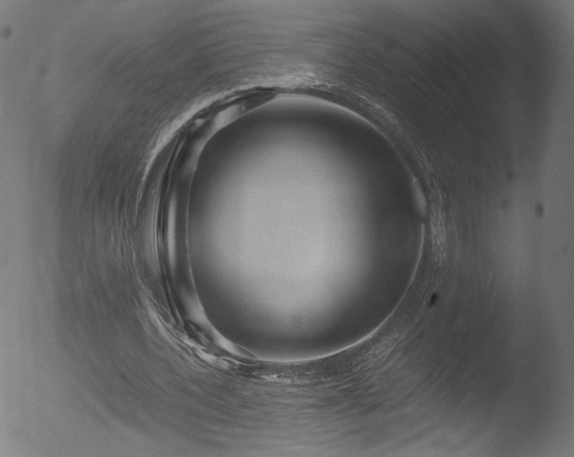 X0000053090532200507111200