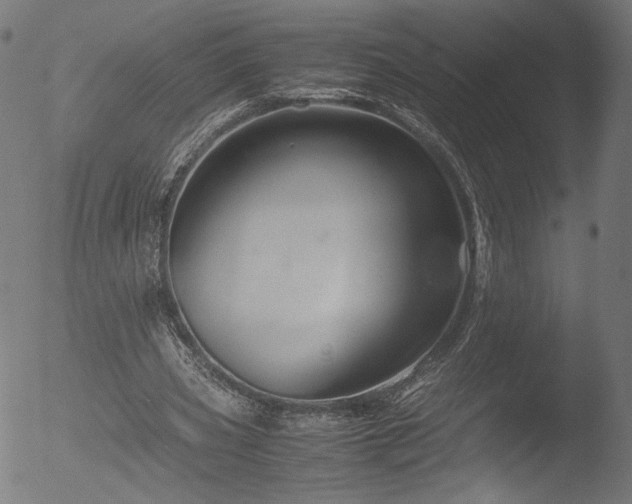 X0000053090533200507111200