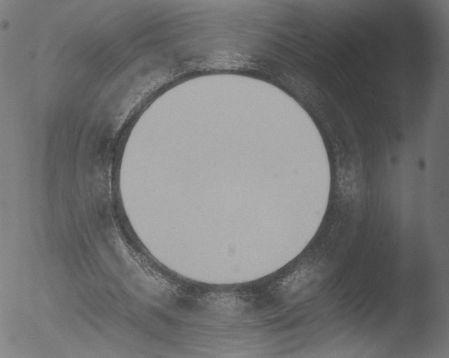 X0000053090534200507111200