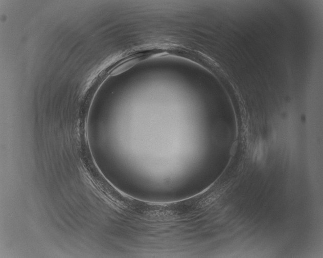 X0000053090535200507111200