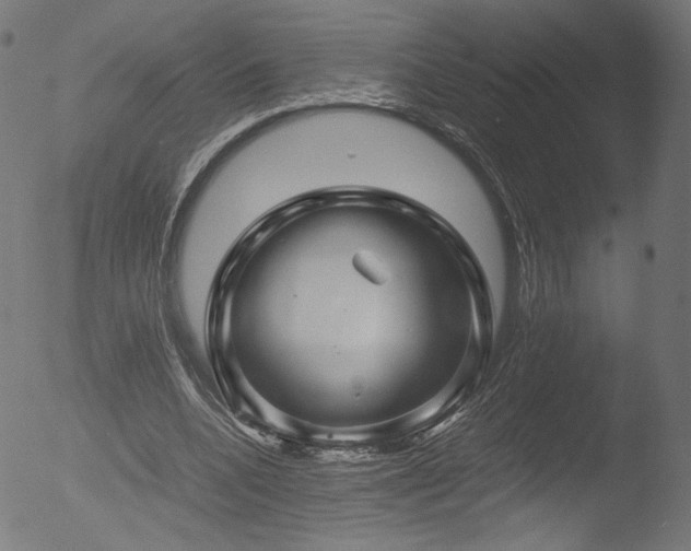 X0000053090536200507111200