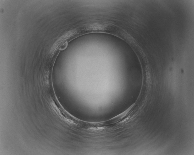 X0000053090537200507111200