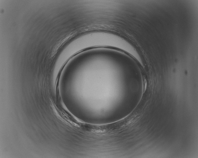 X0000053090538200507111200