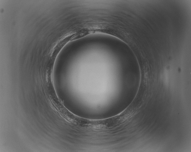 X0000053090539200507111200