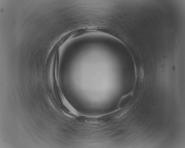 X0000053090540200507111200