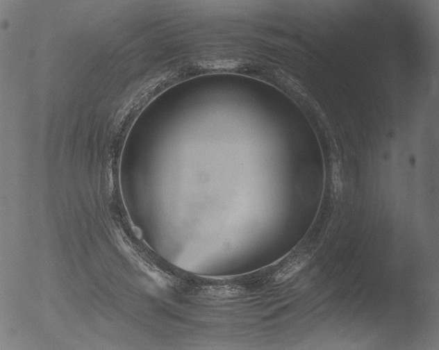 X0000053090541200507111200