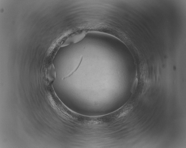 X0000053090542200507111200