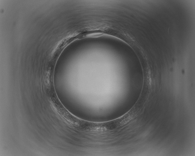 X0000053090543200507111200