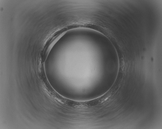 X0000053090544200507111200