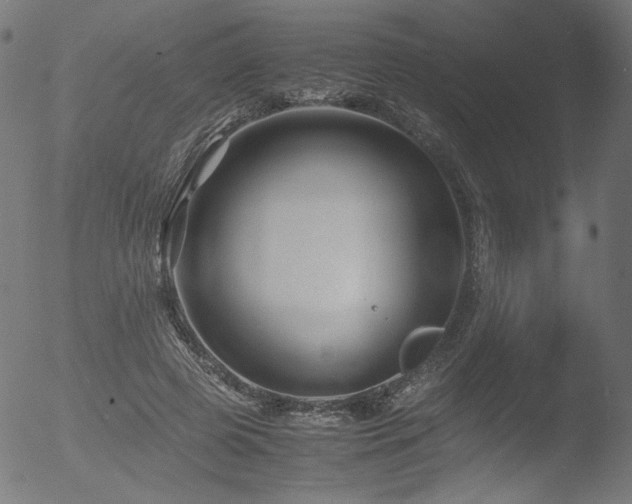 X0000053090545200507111200