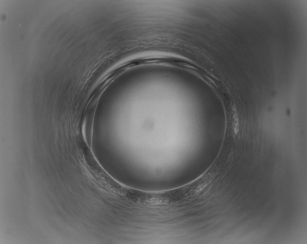 X0000053090546200507111200