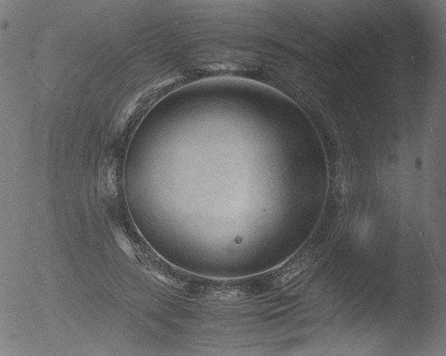 X0000053090547200507111200