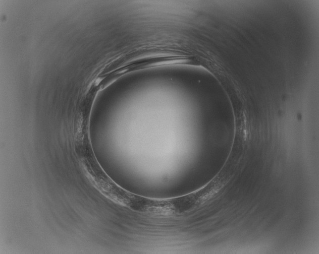 X0000053090548200507111200