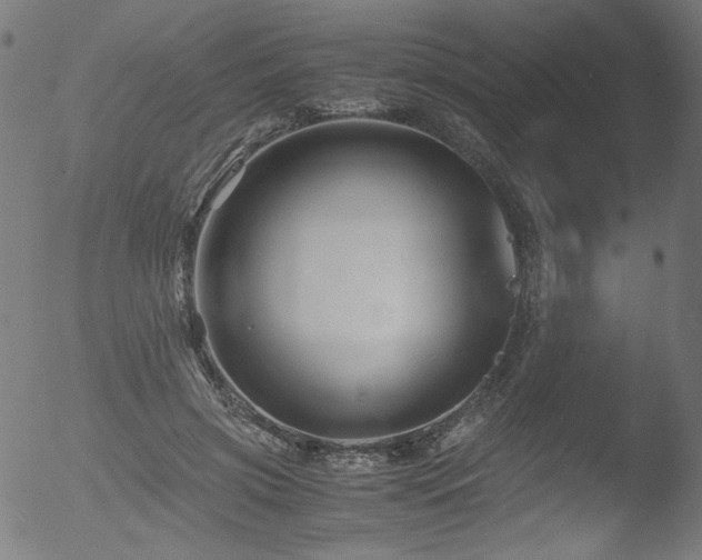 X0000053090549200507111200