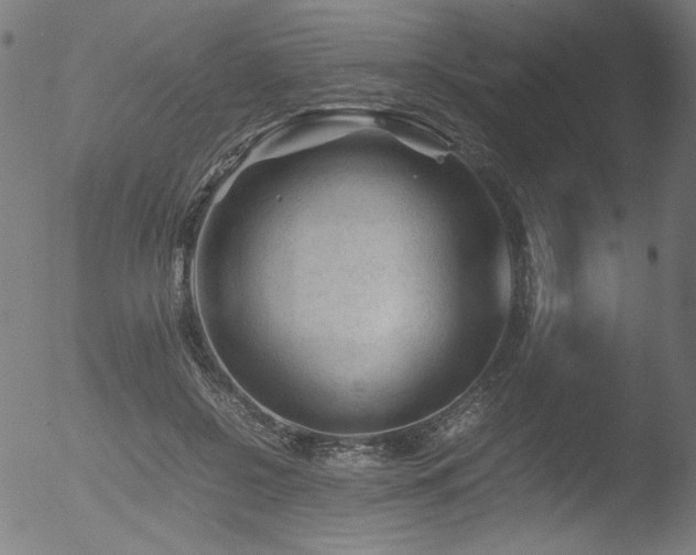 X0000053090550200507111200