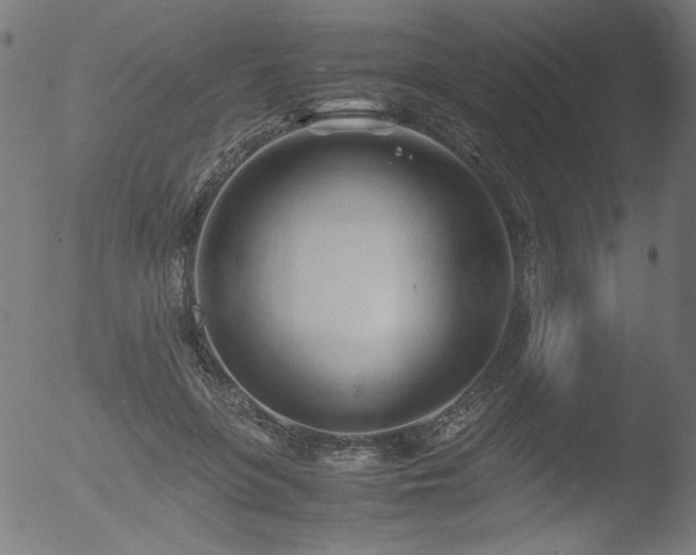 X0000053090551200507111200