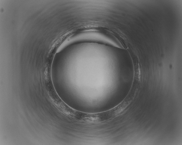 X0000053090552200507111200