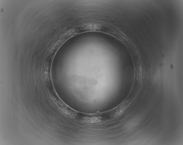 X0000053090553200507111200