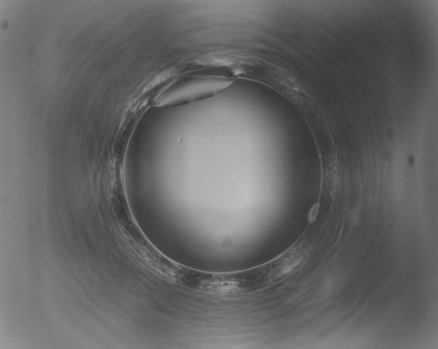 X0000053090554200507111200