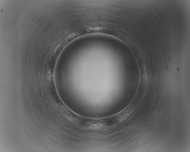 X0000053090555200507111200