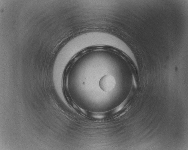 X0000053090556200507111200