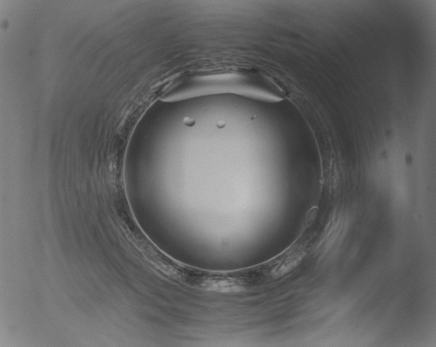 X0000053090557200507111200