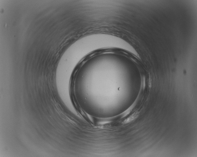 X0000053090558200507111200