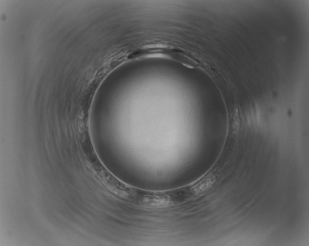 X0000053090559200507111200