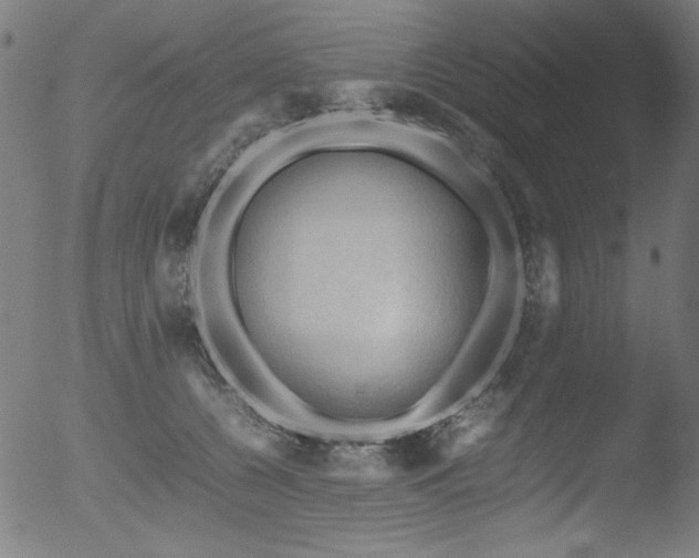 X0000053090560200507111200