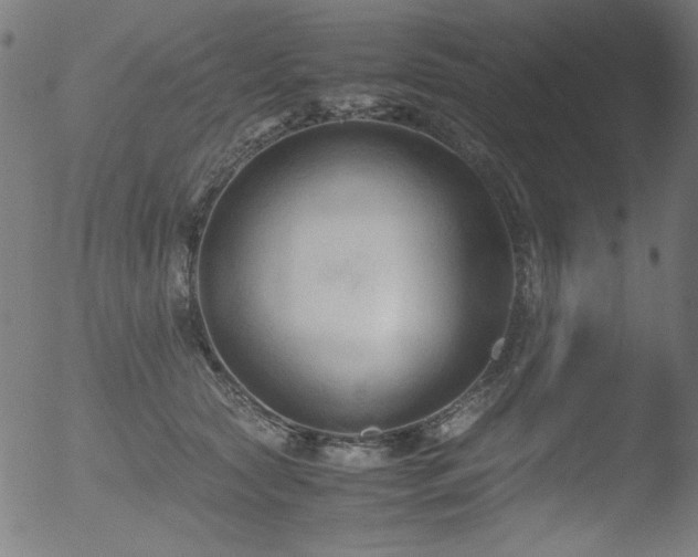 X0000053090561200507111200