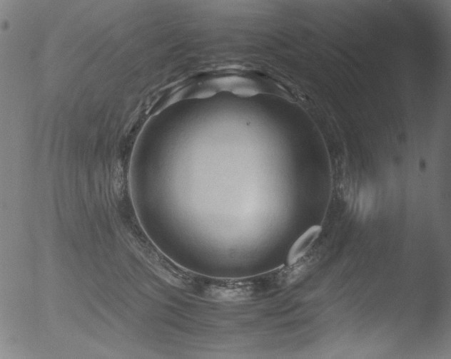 X0000053090563200507111200