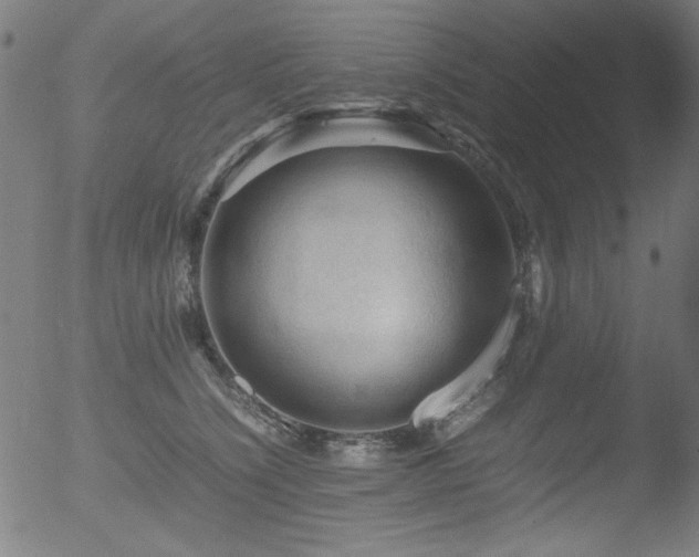 X0000053090564200507111200