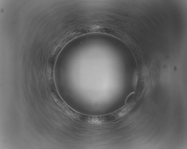 X0000053090565200507111200