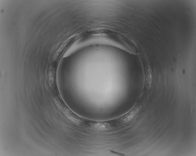 X0000053090566200507111200