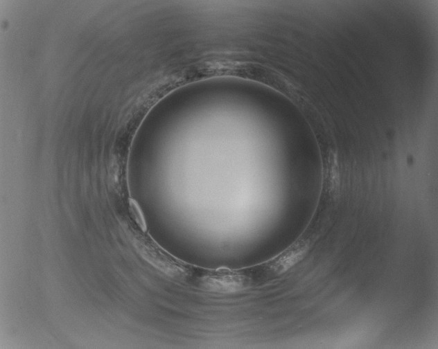 X0000053090567200507111200