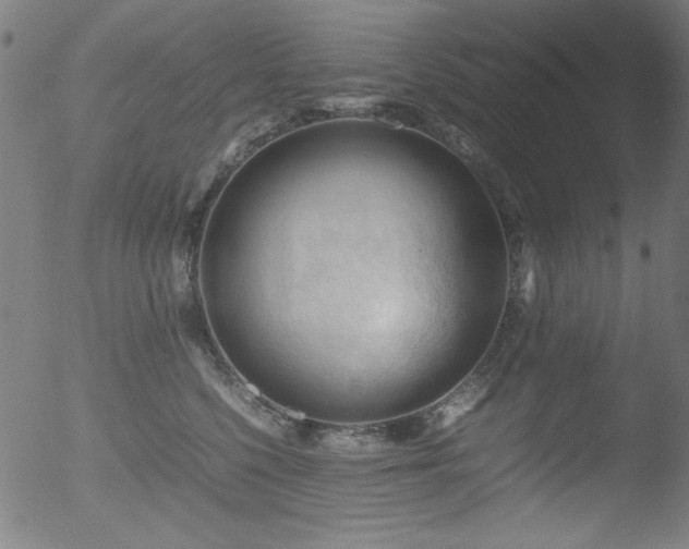 X0000053090568200507111200