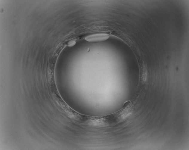 X0000053090569200507111200