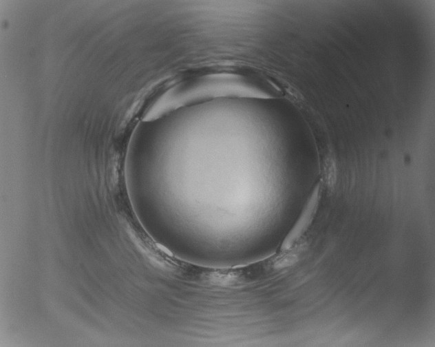 X0000053090570200507111200