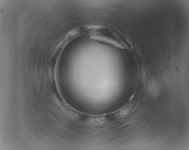 X0000053090571200507111200