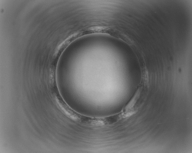 X0000053090572200507111200