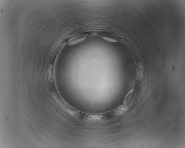 X0000053090573200507111200