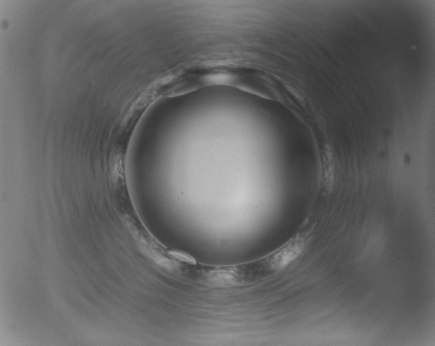 X0000053090574200507111200