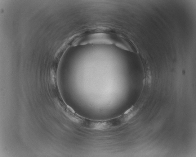 X0000053090575200507111200