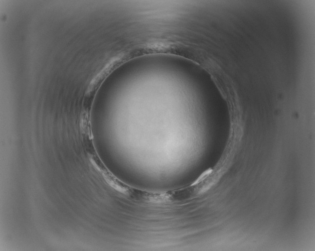 X0000053090576200507111200