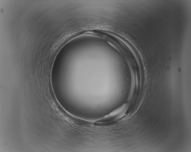 X0000053090577200507111200